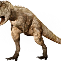Carnotaurus Dinopedia Fandom * rank of the base stat of the carnotaurus vs. carnotaurus dinopedia fandom