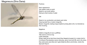 DinoDana MeganeuraProfile