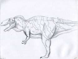 Acrocanthosaurus atokensis Israel B