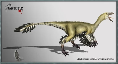 Archaeornithoides deinosaurisc by karkemish00