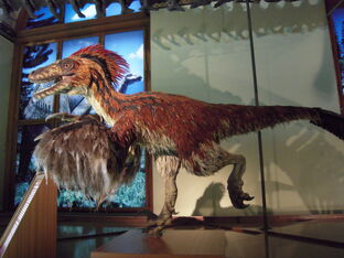 Deinonychus, Dinopedia