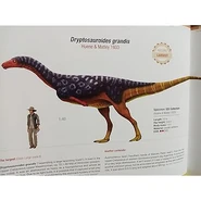 Dinosaur Facts and Figures: Theropods and Other Dinosauriformes Illustration
