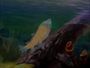 Fantasia Eusthenopteron.jpg (149 KB) Eusthenopteron