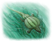 Psephoderma3