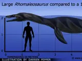 Rhomaleosaurus