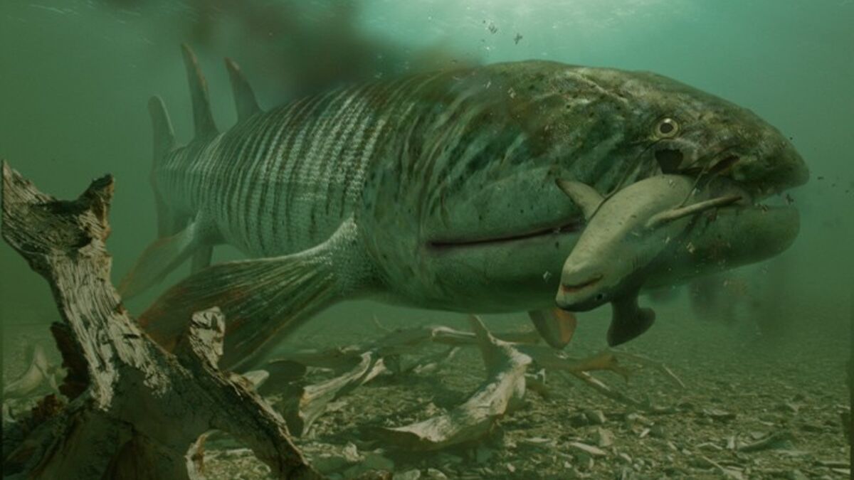 mega piranha prehistoric