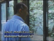 Dale Marcellini in The Real Jurassic Park