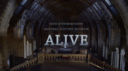David Attenborough's Natural History Museum Alive