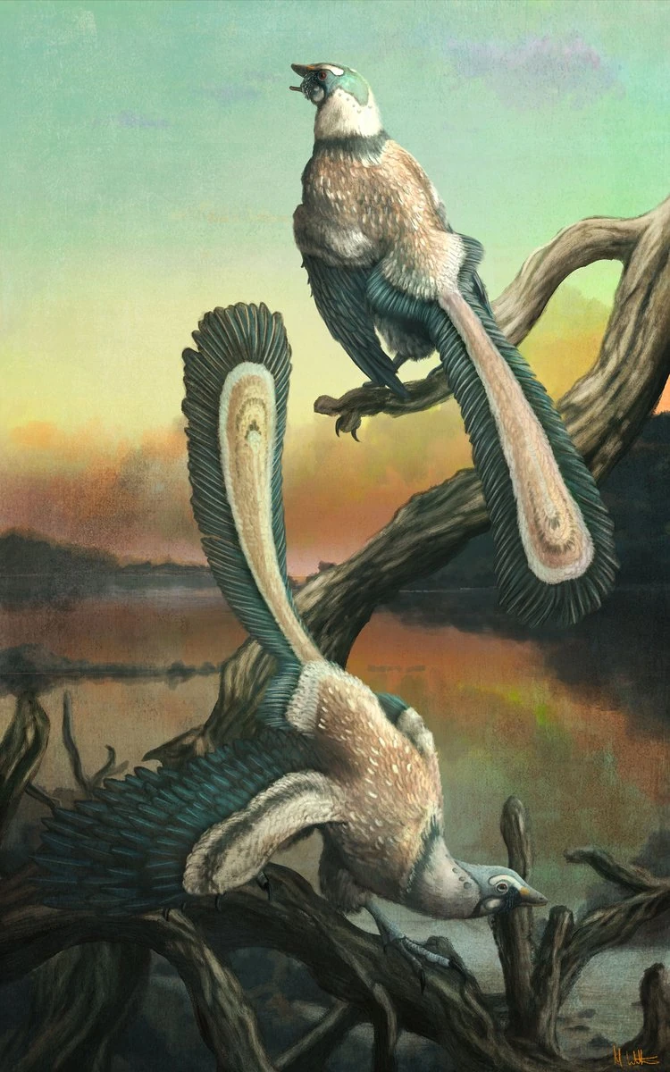Archaeopteryx | Dinopedia | Fandom