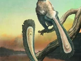 Archaeopteryx
