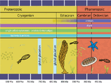 Neoproterozoic