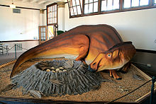 220px-Hypsibema missouriensis Bollinger County Museum of Natural History