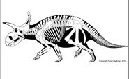 Diabloceratops skeletal .jpeg (345 KB) Skeletal reconstruction