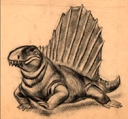 Dimetro-sketch 1.png (797 KB)