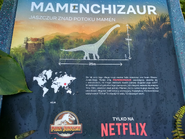 The confirmation of Mamenchisaurus