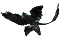 StubMicroraptor