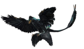 StubMicroraptor.png