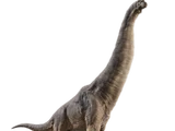 Giraffatitan