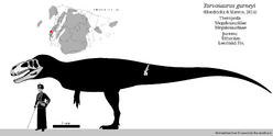Torvosaurus gurneyi skeletal