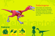 Velociraptor en US