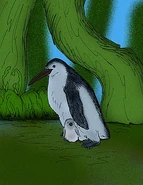 restoration of C. unienwillia