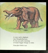 788B1710-49B9-4995-ABF2-78C47BCD01A0.jpeg (39 KB)