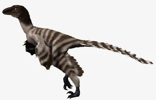 Geminiraptor restoration