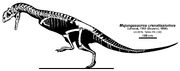 Majungasaurus-skeletal