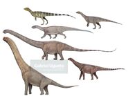 Various early sauropod collection