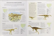 Jurassic coelophysoid meat-eaters.png (565 KB)