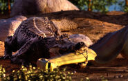 When Crocs Ate Dinosaurs Kaprosuchus