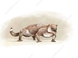 Yanoconodon