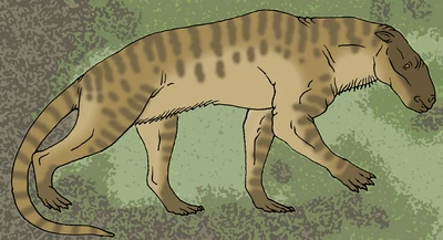 Agriochoerus by Pristichampsus