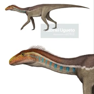 DJx4ioYW4AA2zHj.jpg (112 KB)