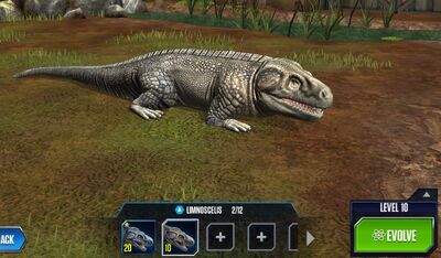 Limnoscelis 1S