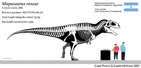 Skeletal reconstruction of Mapusaurus by Beagliam and Lamborlobator