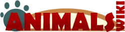 Animal database logo