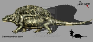 Ctenospondylus casei by Theropsida.jpg (62 KB) Ctenospondylus casei.