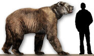 Reconstruction.