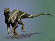 Iani-credit-jorge-gonzalez web