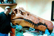 Spinosaurus skull replica