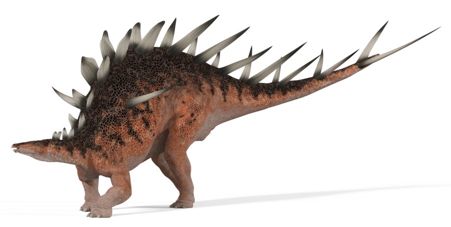 Kentrosaurus, The Isle Wiki, Fandom