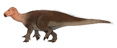 Modern Iguanodon reconstruction with plumage ( its unknown if Iguanodontids had coverings like this ) Credit: jackwood @thewoodparable