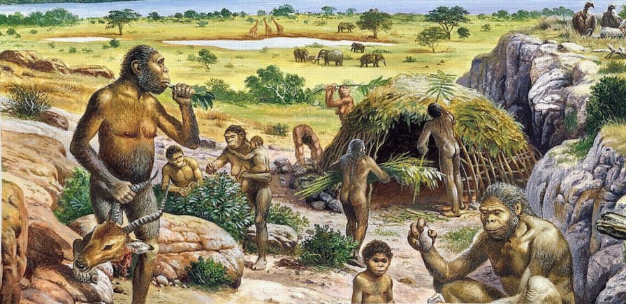 quaternary period humans