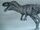 Siamotyrannus