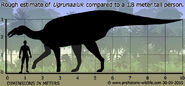 Ugrunaaluk-size