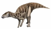 Bactrosaurus