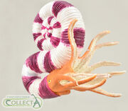 CollectA-Pravitoceras-ammonite-model