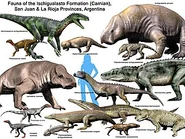 Ischigualasto Fauna.jpg (33 KB)