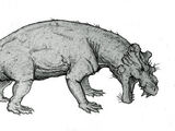 Burnetia
